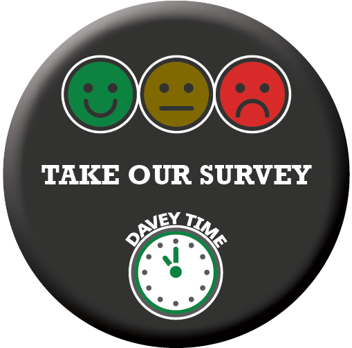 Take Our Survey